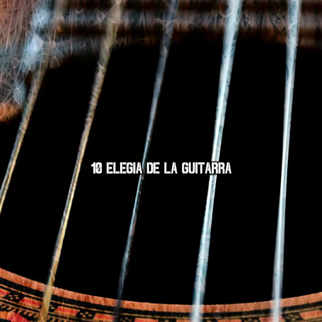 10 Elegia de la Guitarra