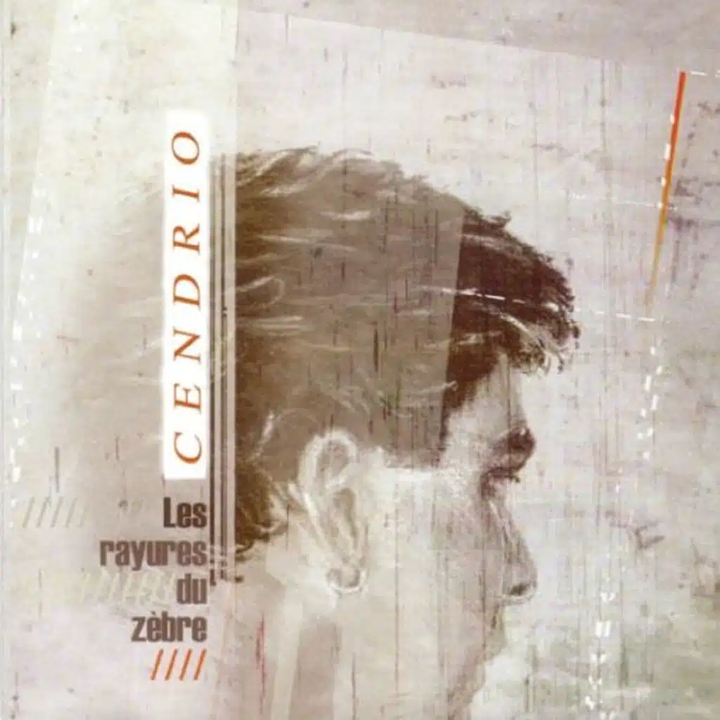 Les rayures du zèbre