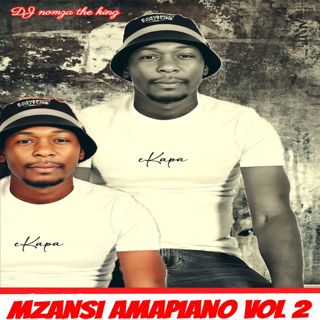 MZANSI AMAPIANO, Vol. 2