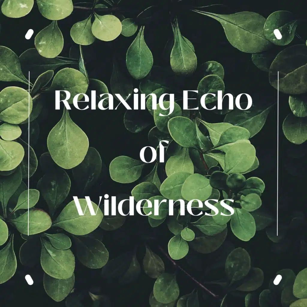 Relaxing Echo of Wilderness: Serene Nature Sounds for Mindful Meditation