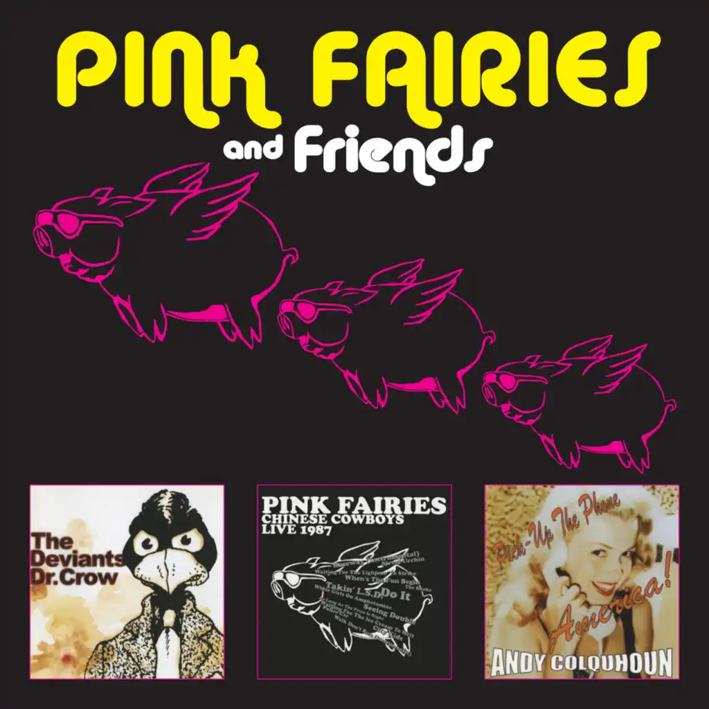 Pink Fairies and Friends