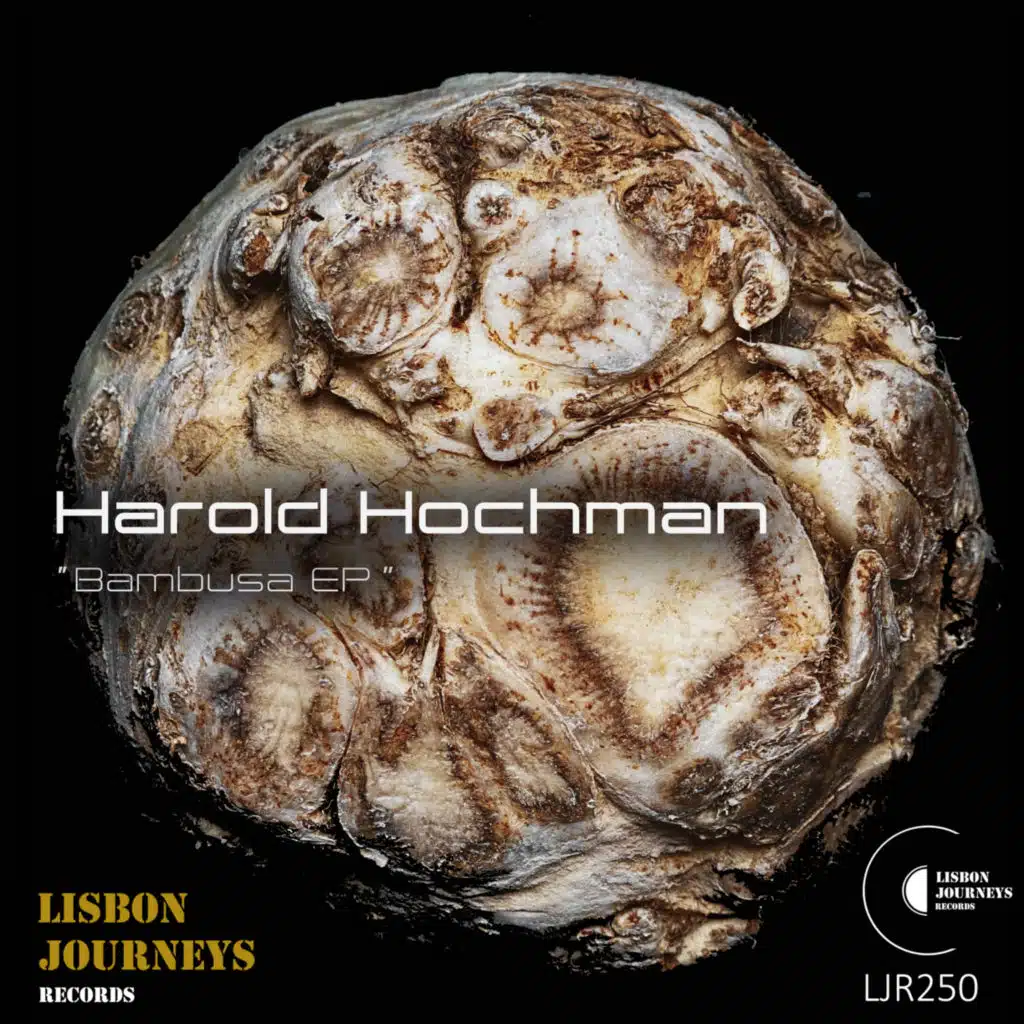Harold Hochman