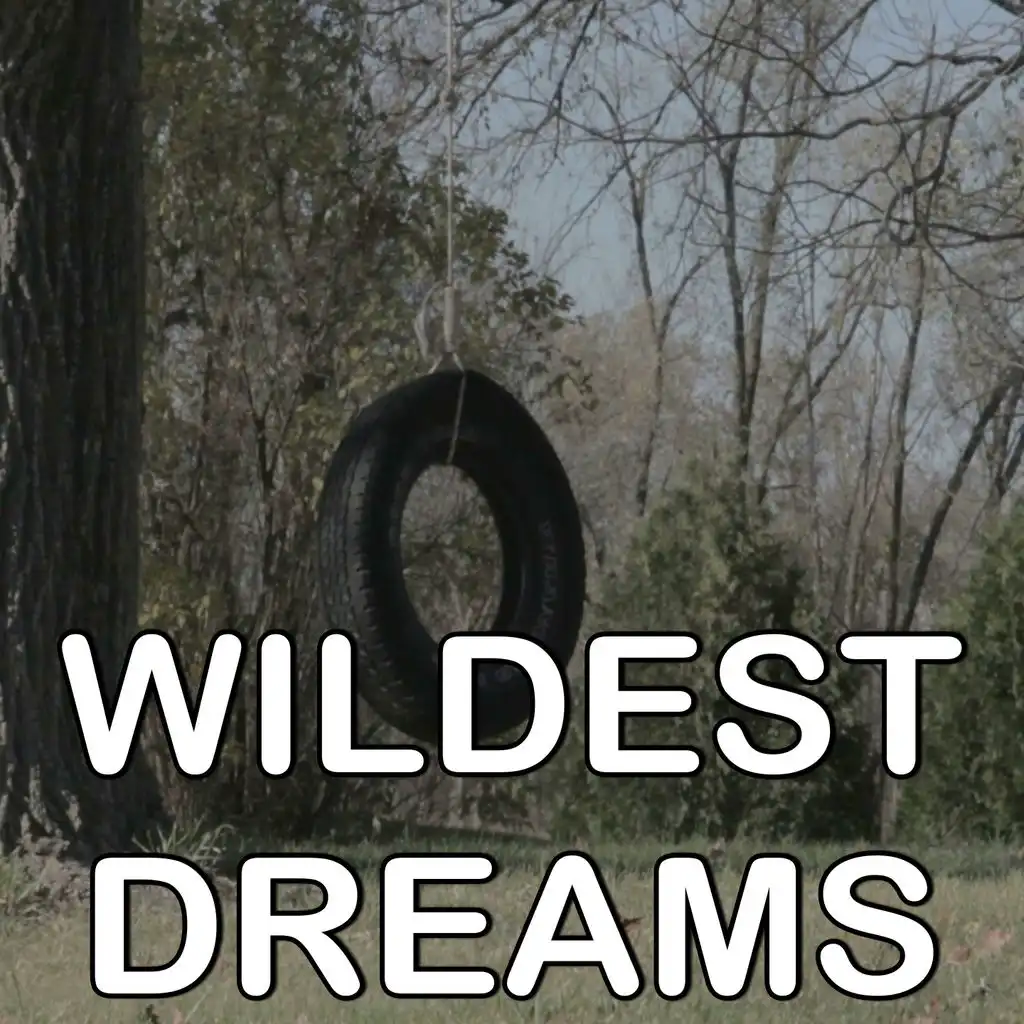 Wildest Dreams - Tribute to Taylor Swift