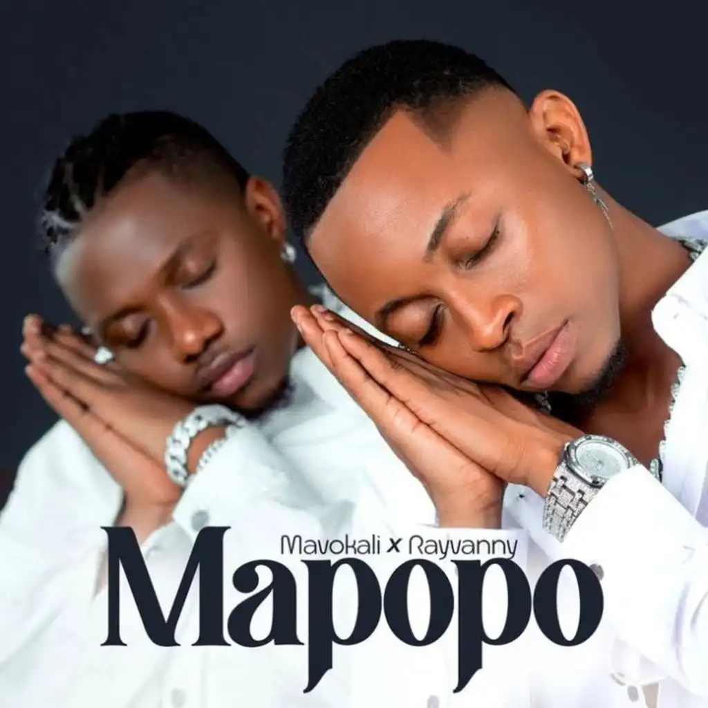 Mapopo (Remix) [feat. Rayvanny]