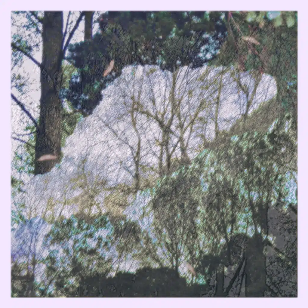 Zephyr
