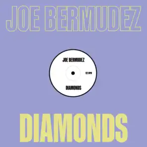 Joe Bermudez