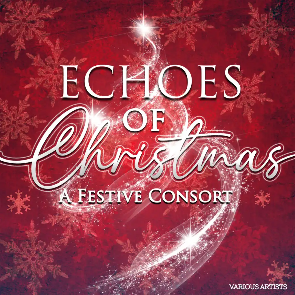 Echoes of Christmas: A Festive Consort