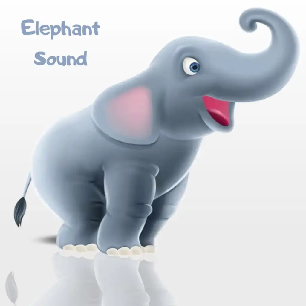 Elephant sound