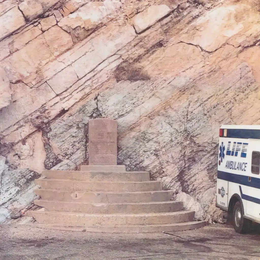 New Promise Land Inc.