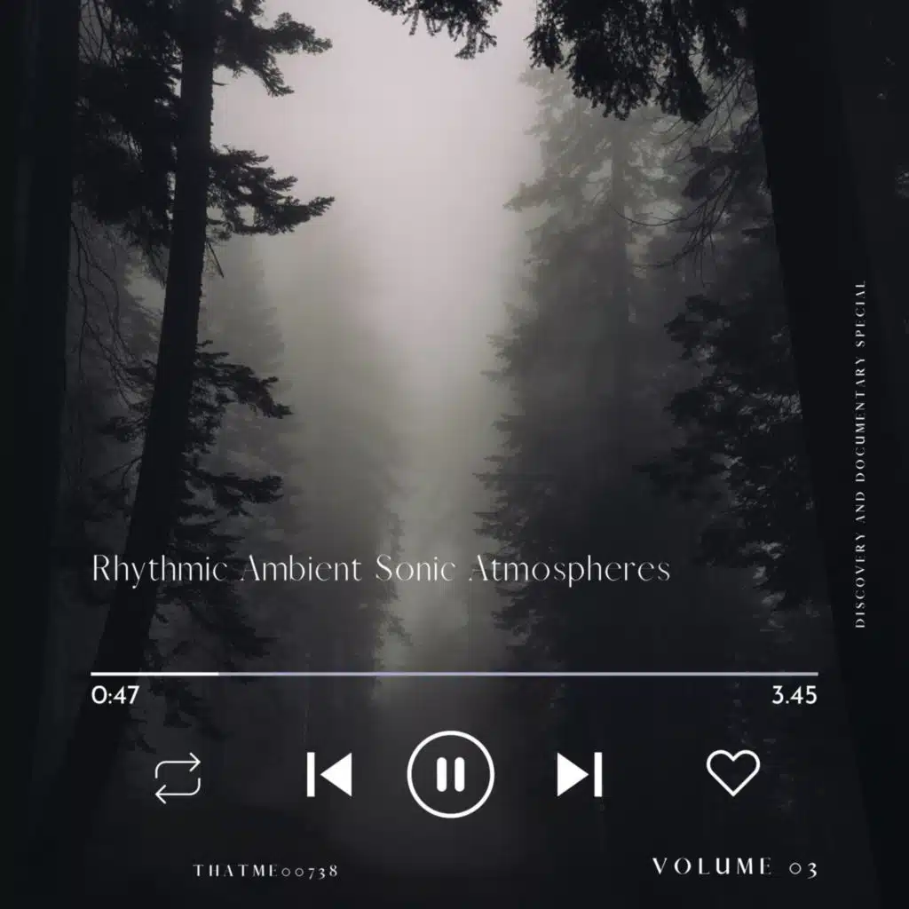 Soften Synth - Rain in the Reeds - Rain Atmosphere | Play on Anghami
