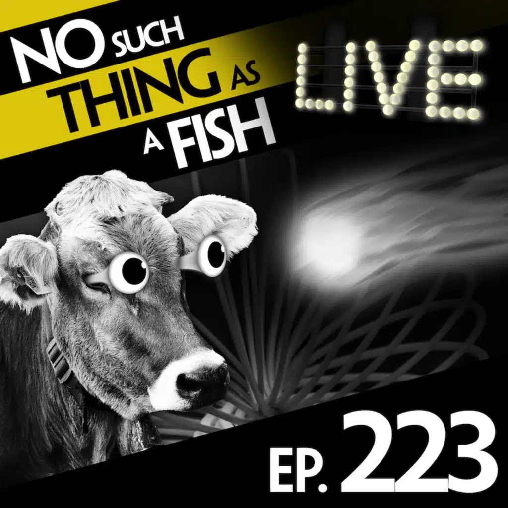 No Such Thing As A Worthless Doorstop