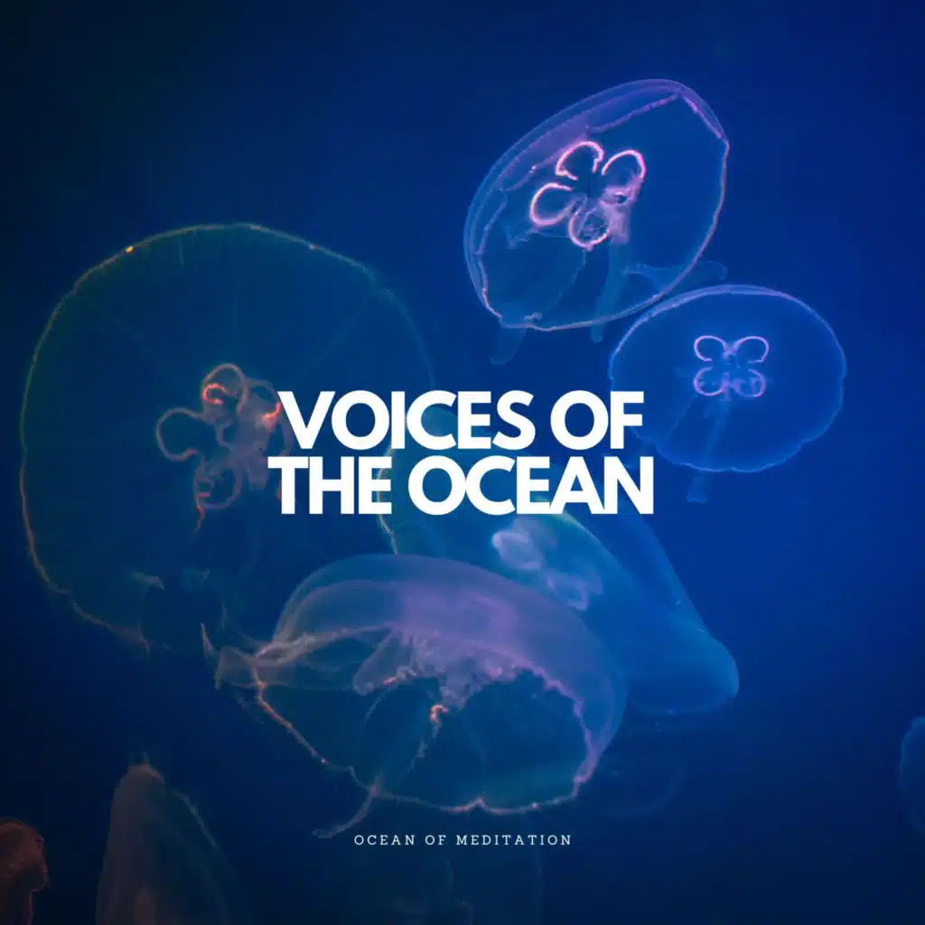 Ocean Of Meditation