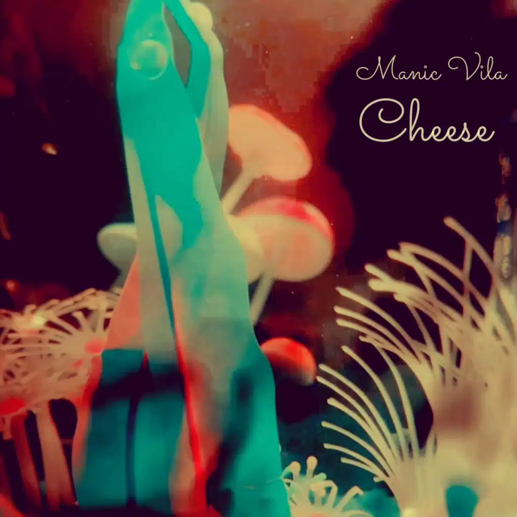 Cheese