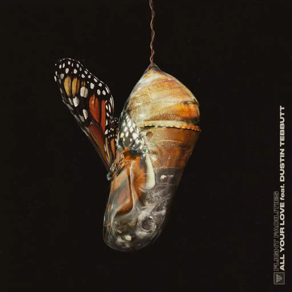 All Your Love (Remixes) [feat. Dustin Tebbutt]