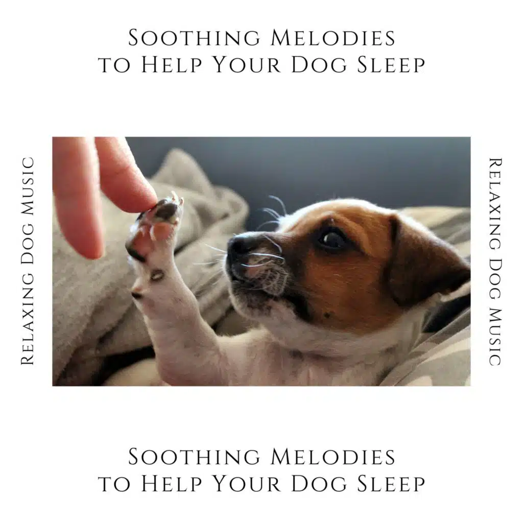 Relaxing Dog Music
