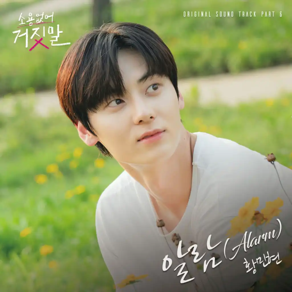 My Lovely Liar, Pt. 6 (Original Television Soundtrack)