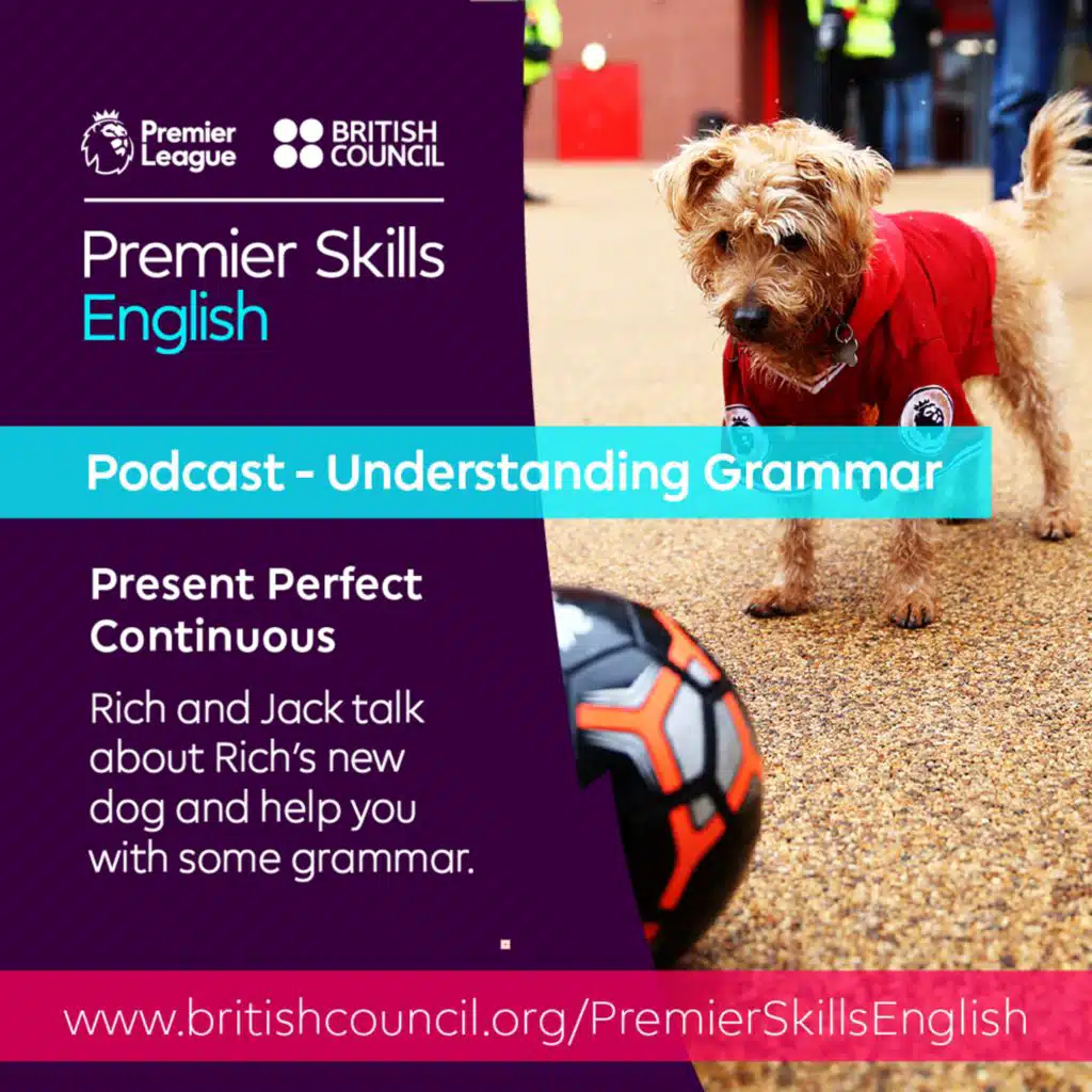 Understanding Grammar: Present Perfect Continuous
