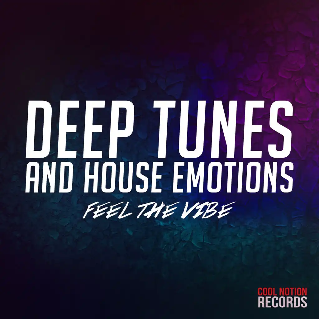 Deep Tunes and House Emotions (Feel the Vibe)