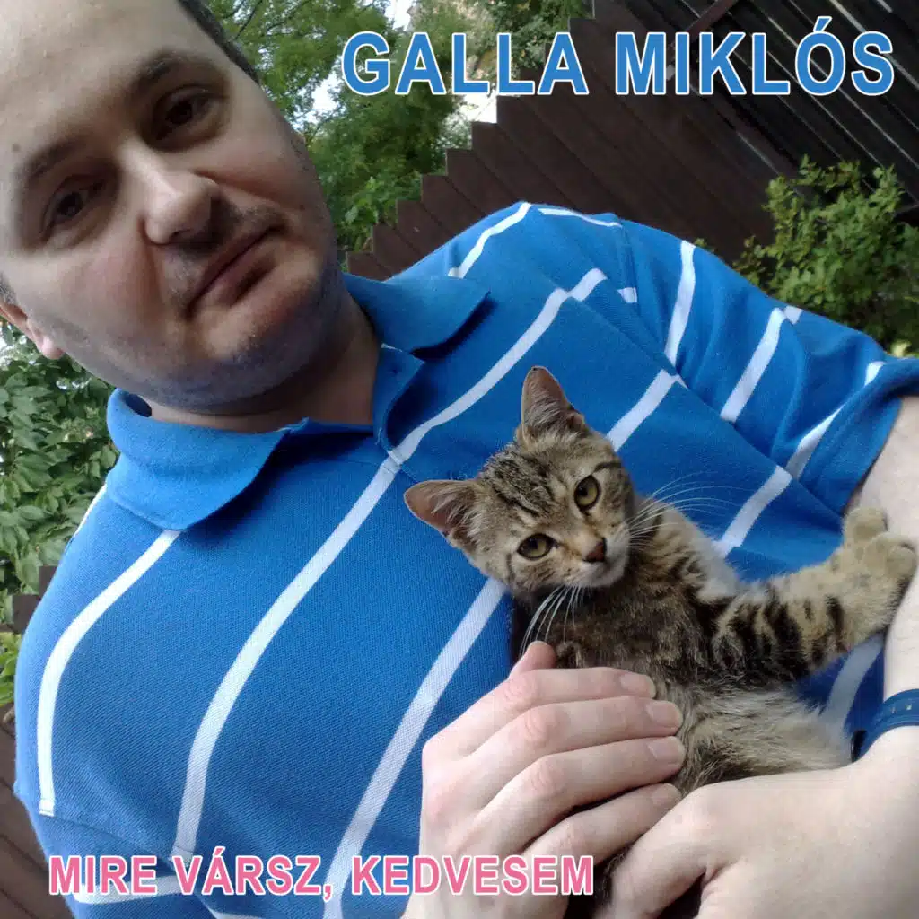 Galla Miklós