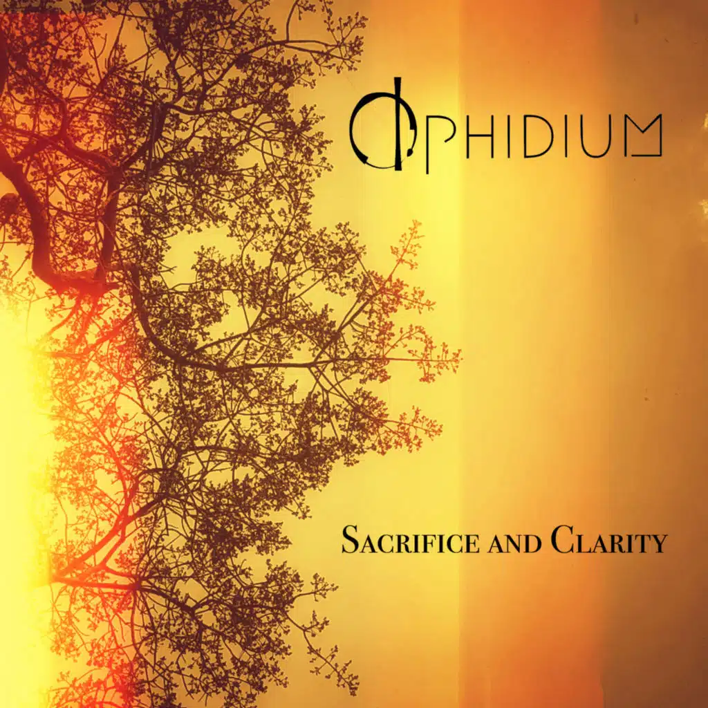 Sacrifice and Clarity (feat. Pablo Vilela)
