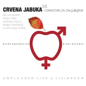 Bivše Djevojčice, Bivši Dječaci - Unplugged Live U Lisinskom