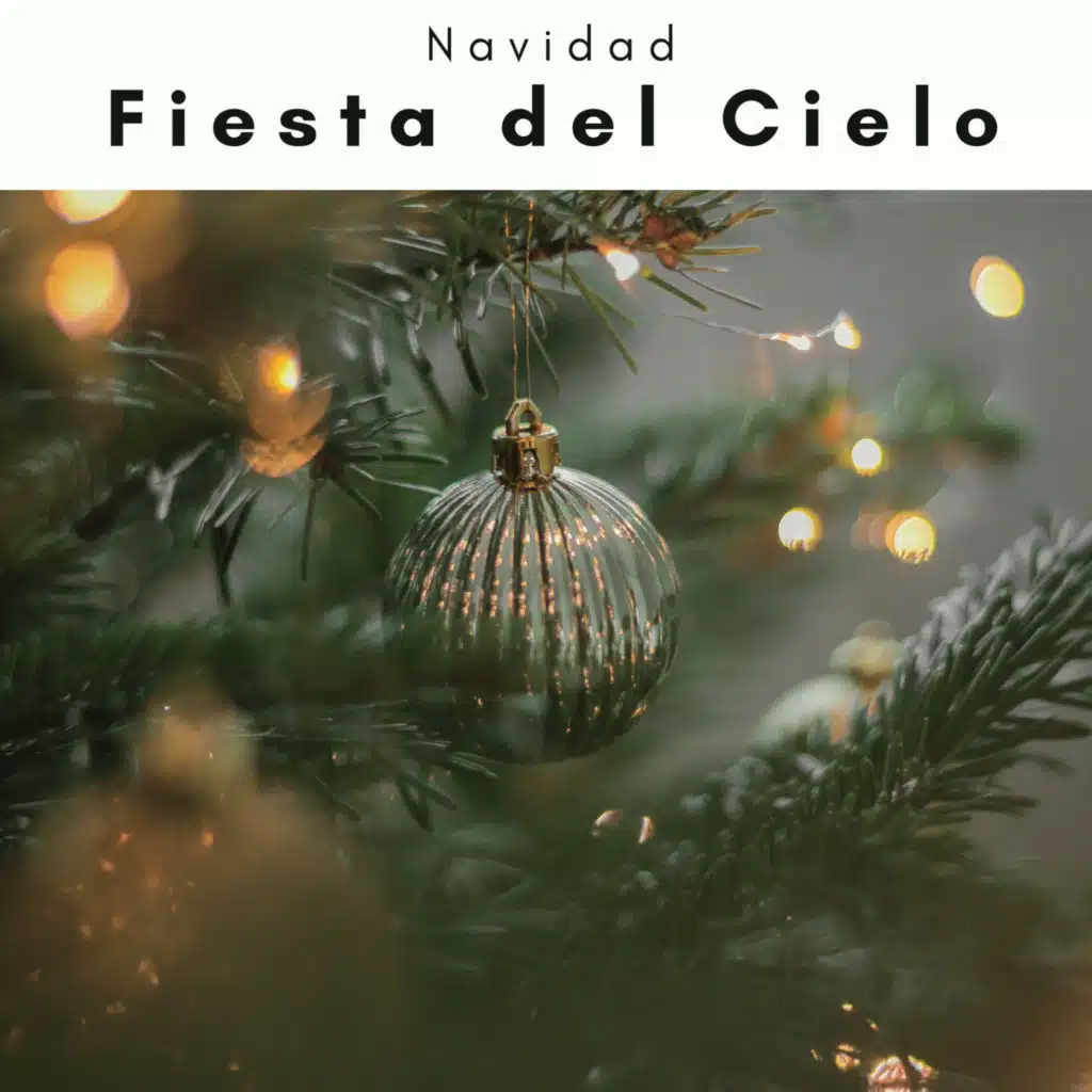 Fiesta del Cielo