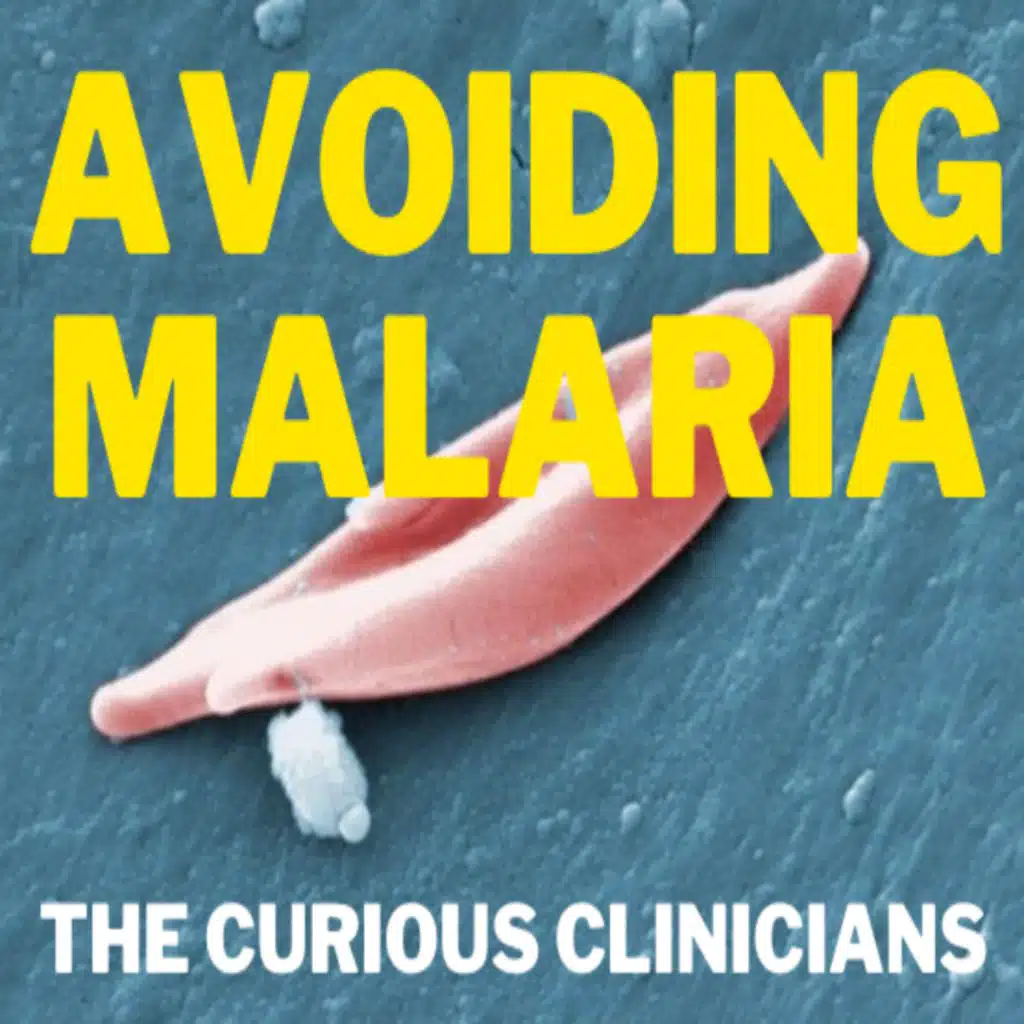 81 - Avoiding Malaria