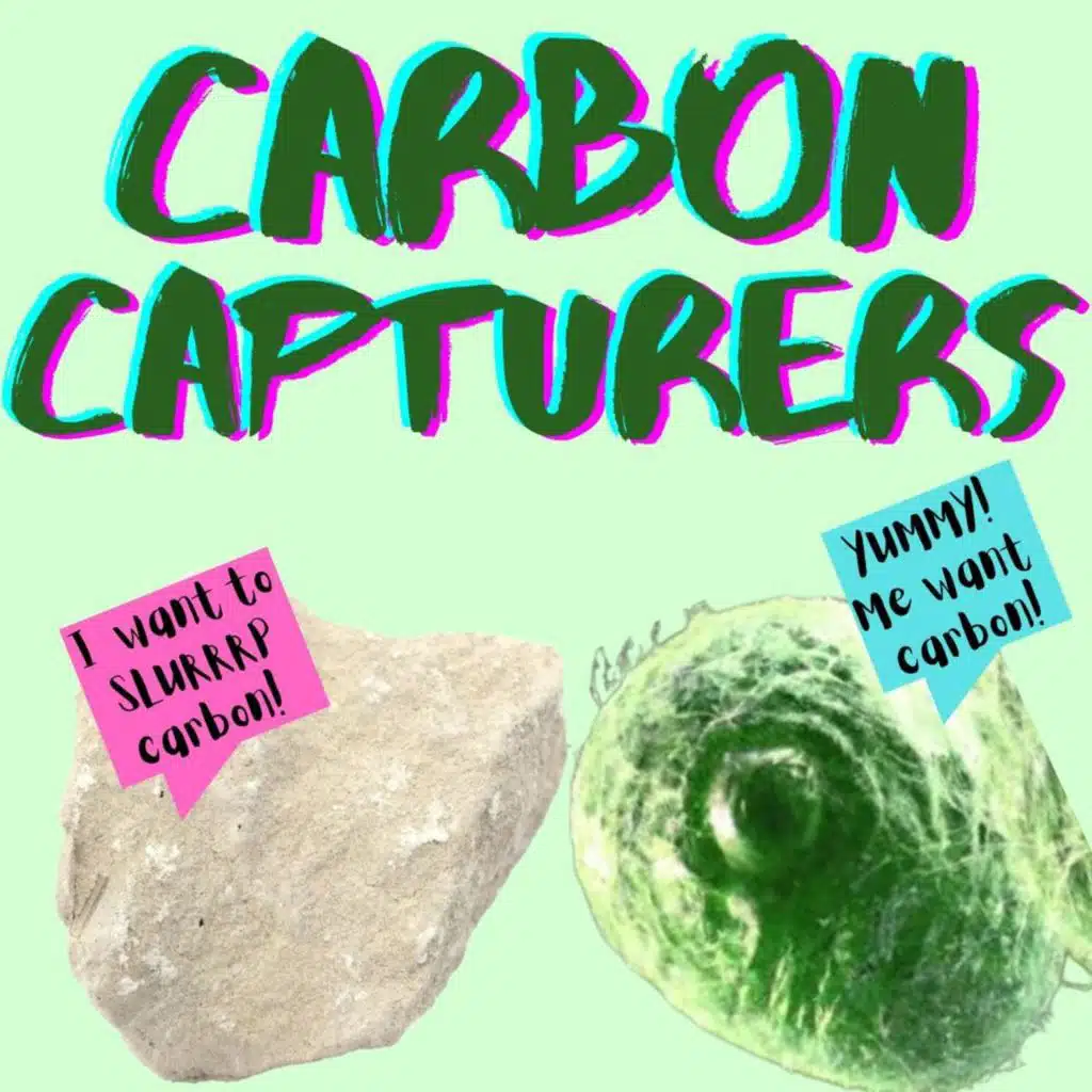 Kid News This Week: Carbon capturers, magic bacteria, dino news, Xmas markets, sleeping students