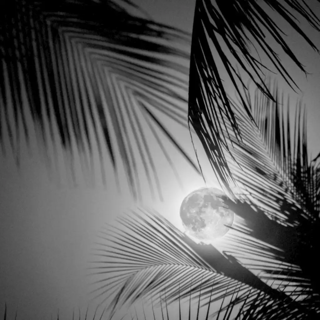 Masked Ball (feat. Lost Cosmos)