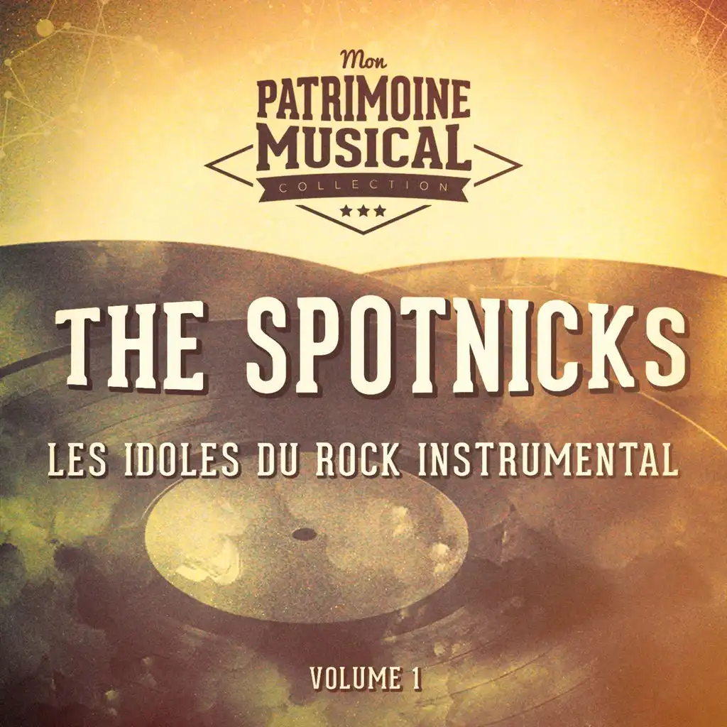 Les idoles du rock instrumental : The Spotnicks, Vol. 1