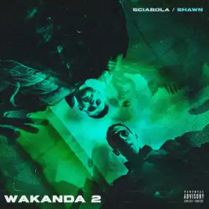 WAKANDA 2 (feat. Shawn)