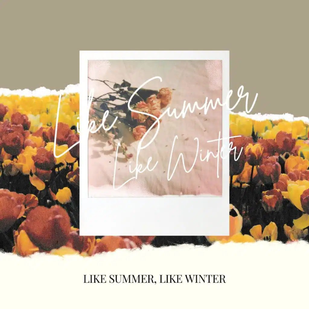 Like Summer, Like Winter (With D SILO)