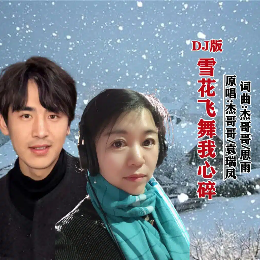 雪花飞舞我心碎 (对唱DJ版)