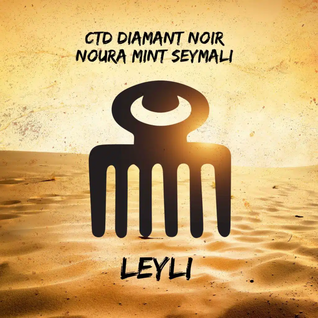 LEYLI (feat. Noura Mint Seymali)