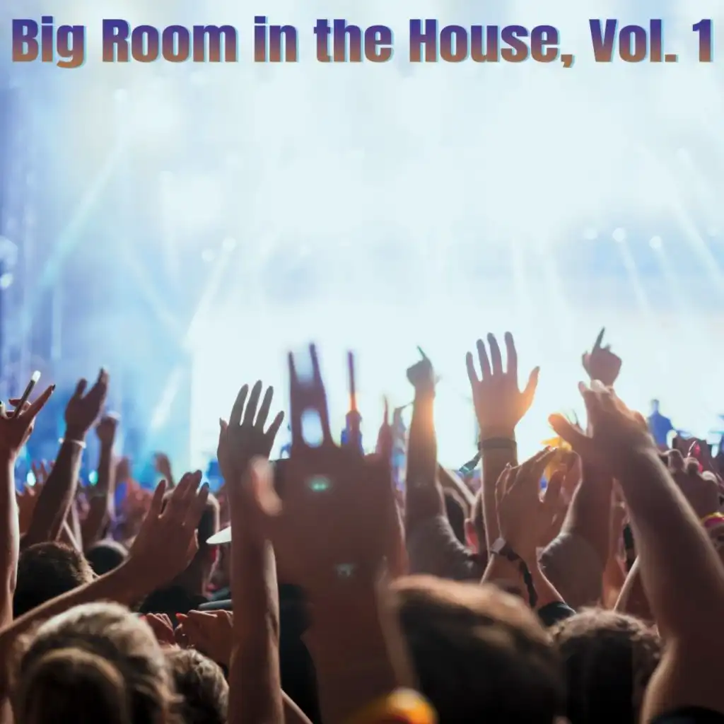 Big Room in the House, Vol. 1