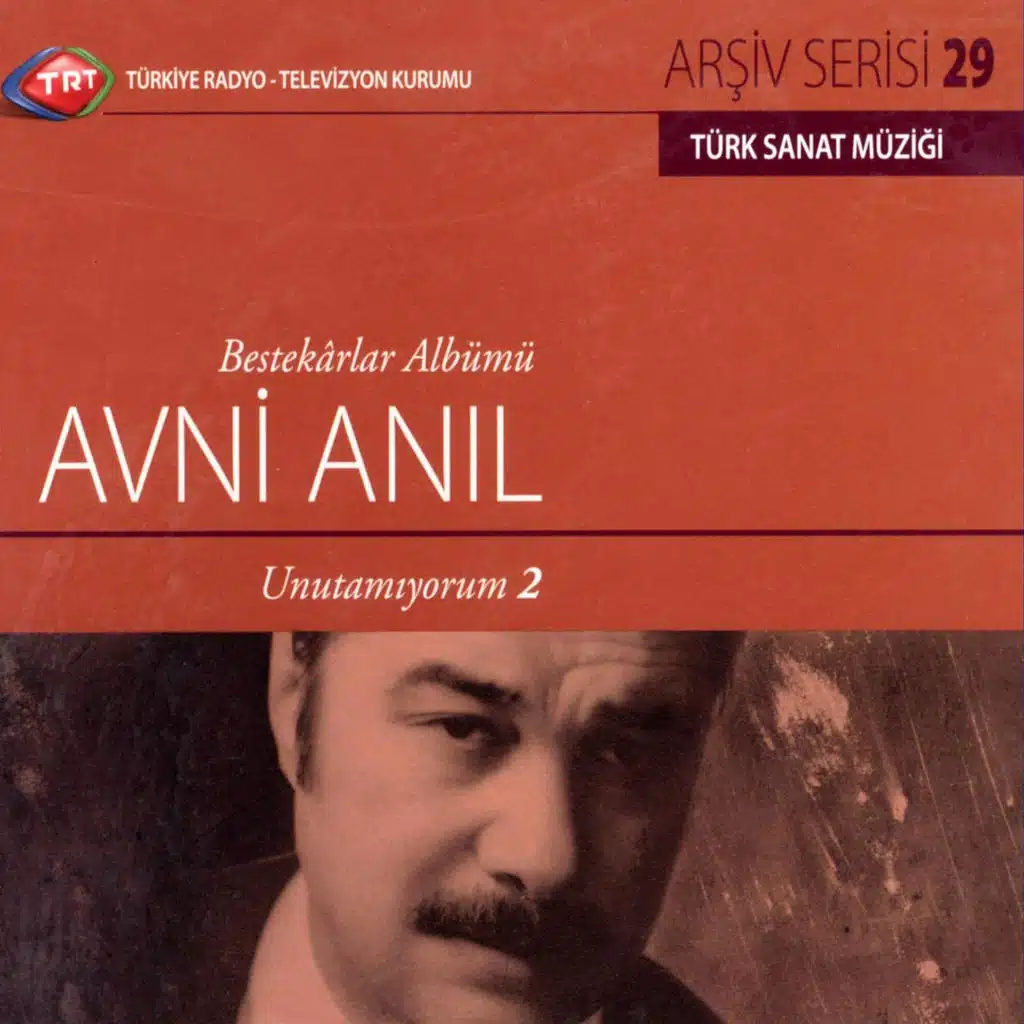 Bu Akşam Bütün Meyhanelerini Dolaştım İstanbul'un (ft. Cavit Tanyürek)