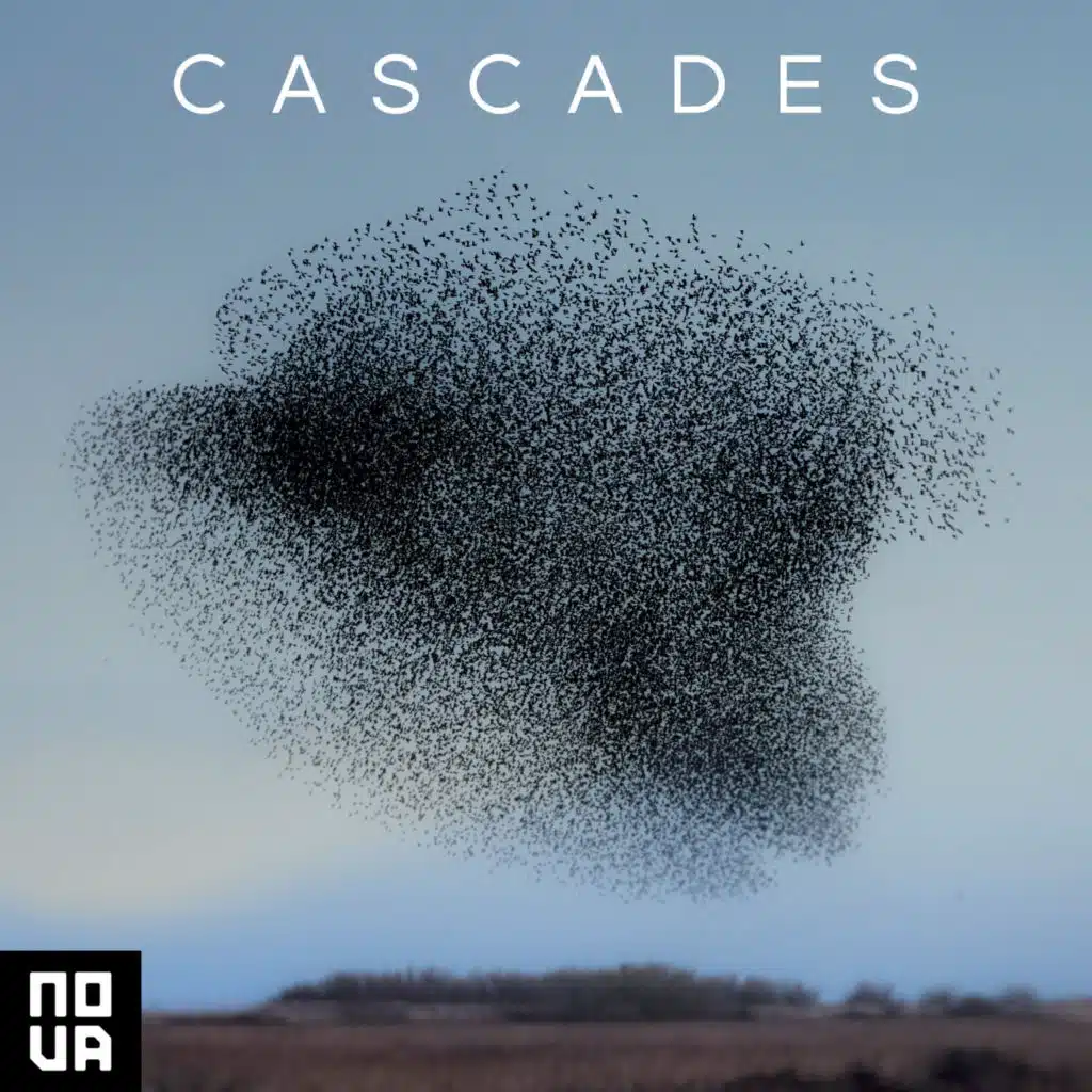 Cascades