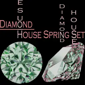 Diamond House Spring Set