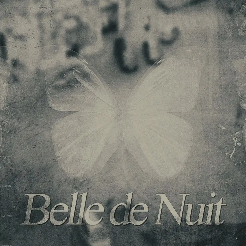 Belle de nuit (feat. AKA)