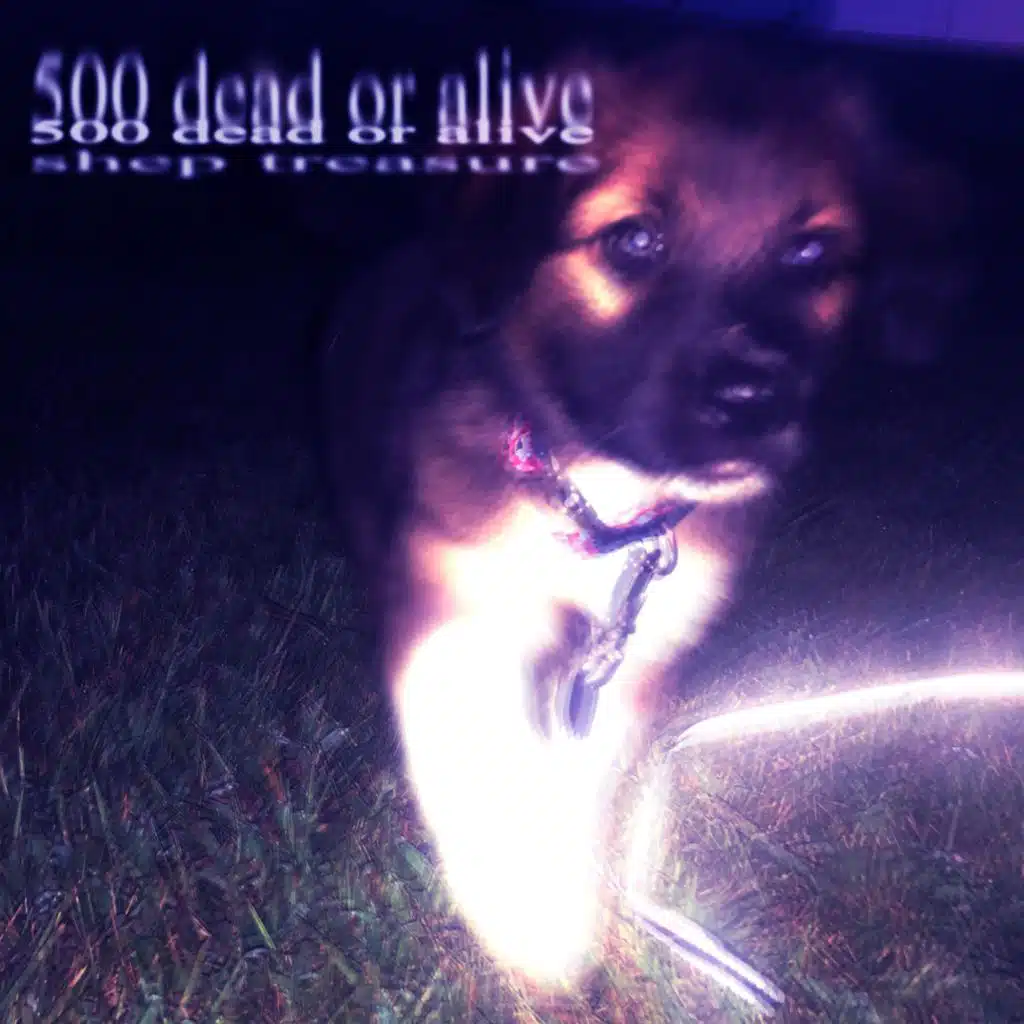 500 dead or alive