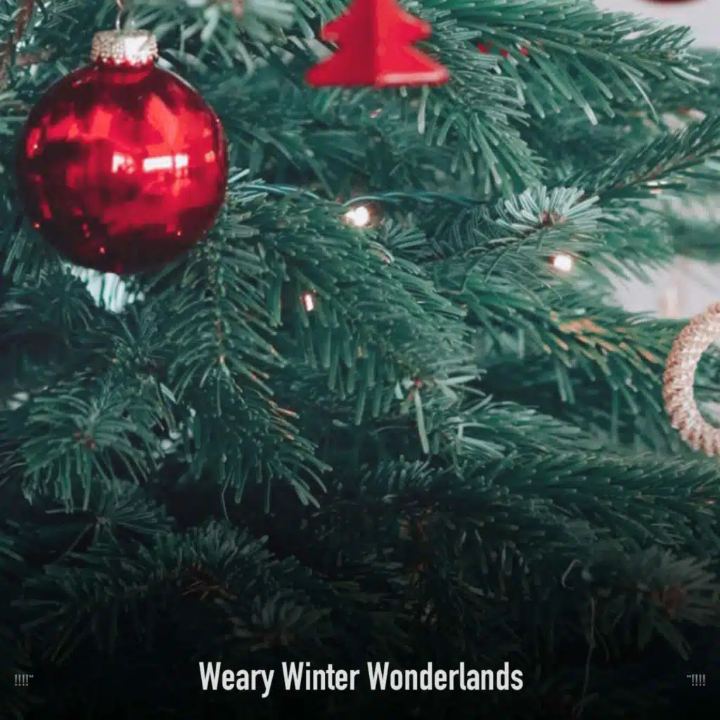 !!!!" Weary Winter Wonderlands "!!!!