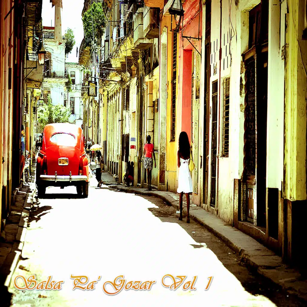Salsa Pa' gozar, Vol. 1