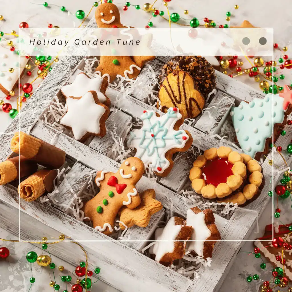 Acoustic Christmas Music Band