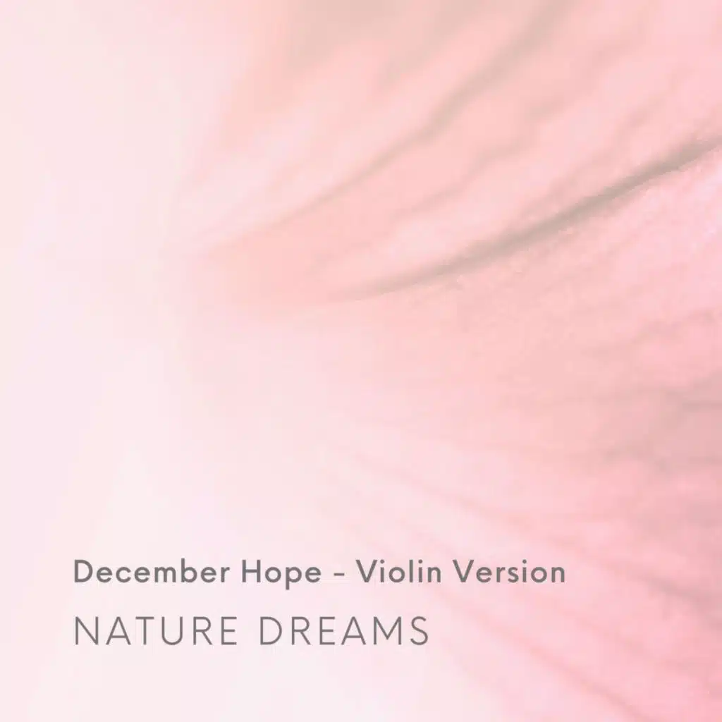 December Hope (Violin Version)