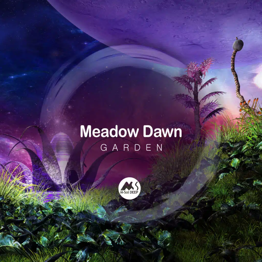 Meadow Dawn & M-Sol DEEP