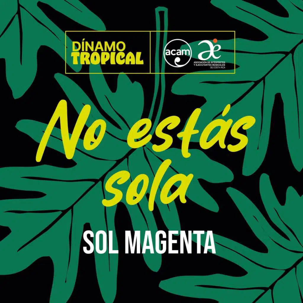 No Estás Sola