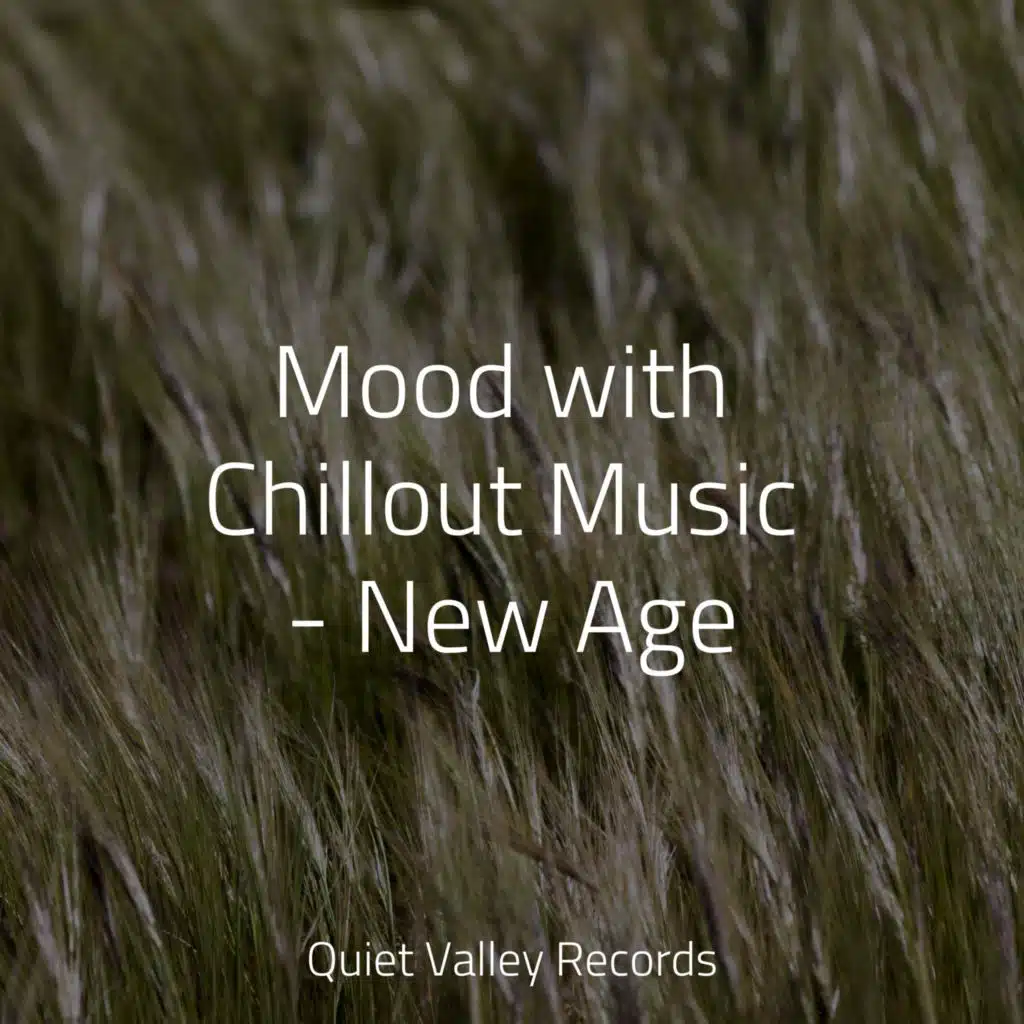 Mood with Chillout Music - New Age