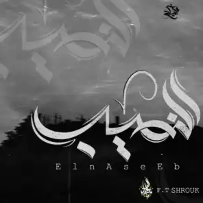 El Naseeb (feat. Shrouk)