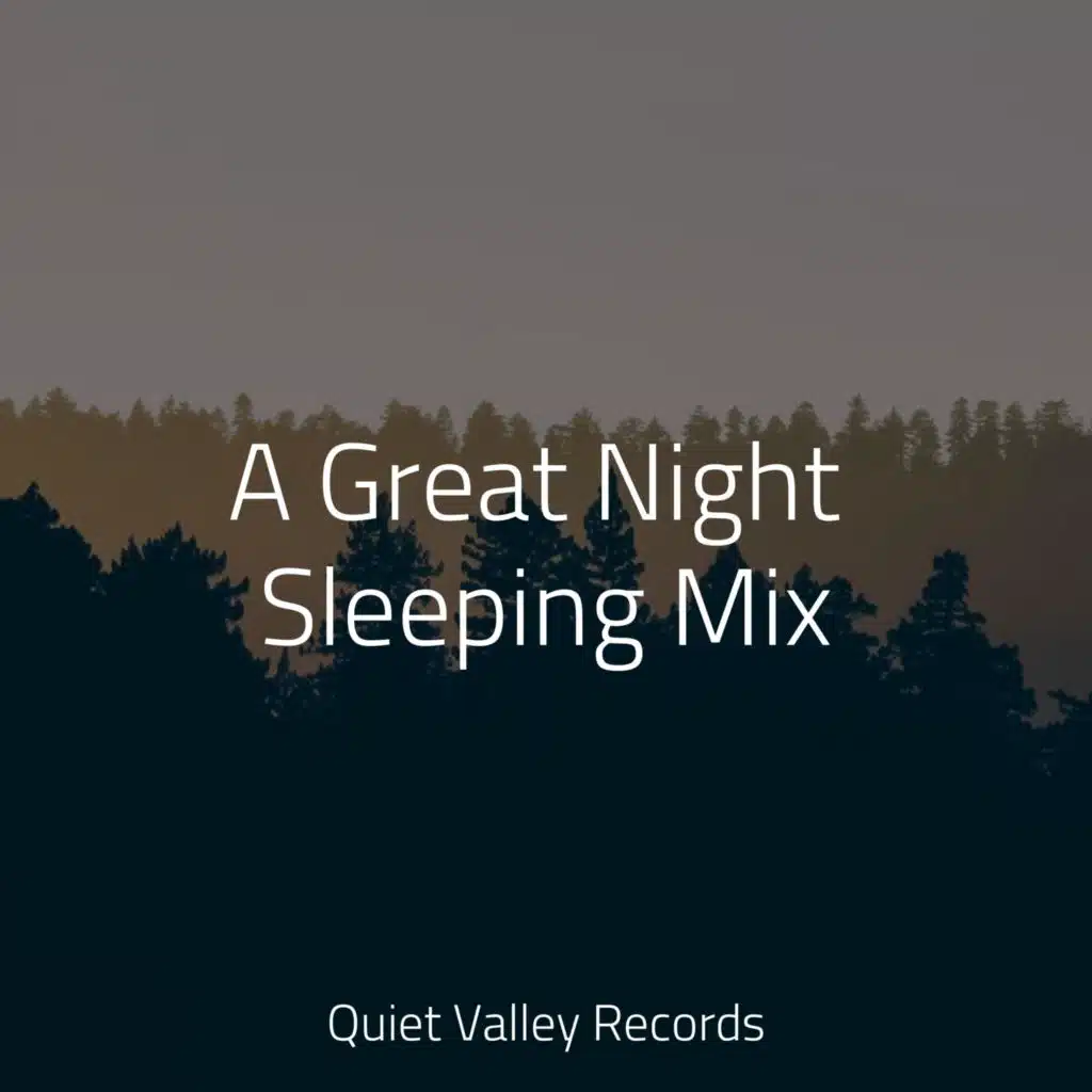 A Great Night Sleeping Mix