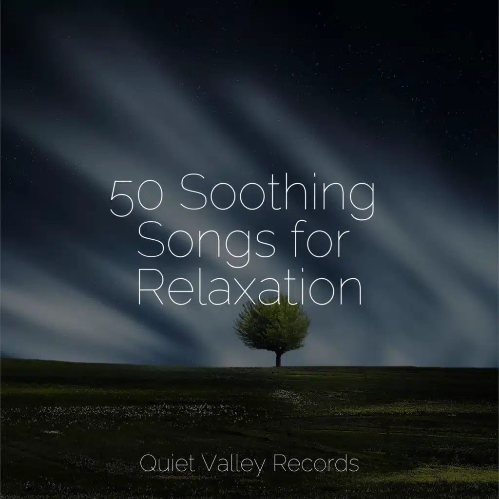 50 Soothing Songs for Relaxation
